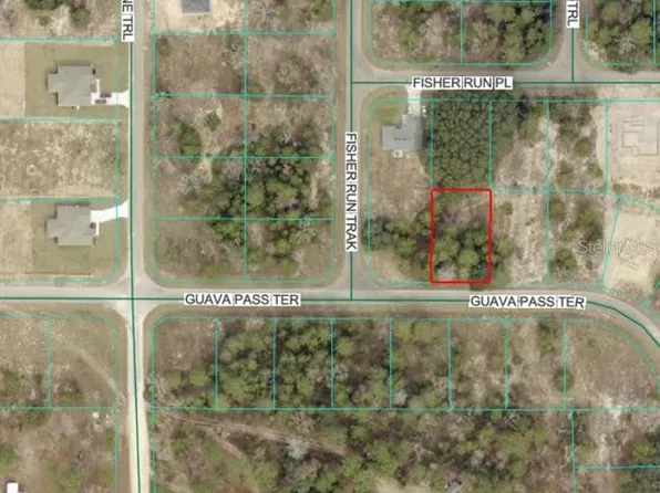 Guava Pass Ter Lot 7, Ocklawaha, FL 32179