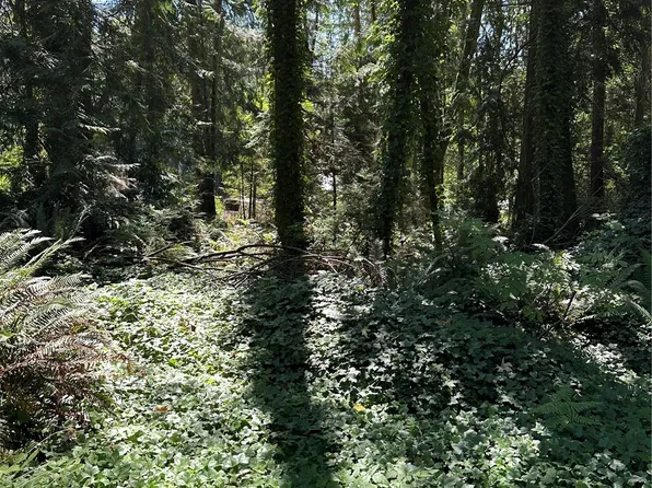 17 Fern Street NE, Indianola, WA 98342