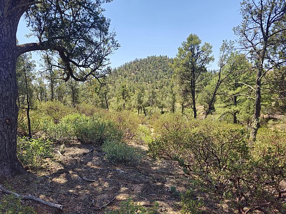 4th image of 2400 S Rim Club Dr