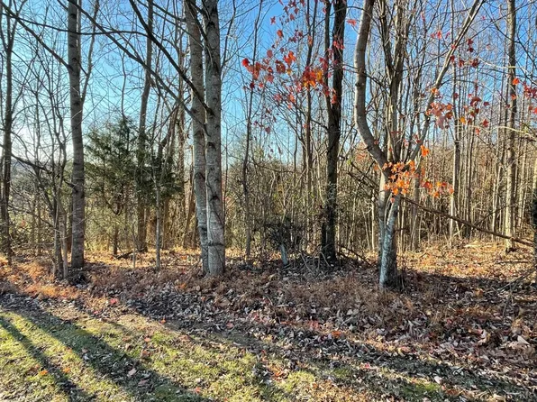 0 Strawberry Hill Ct Lot 55&56, Vinton, VA 24179