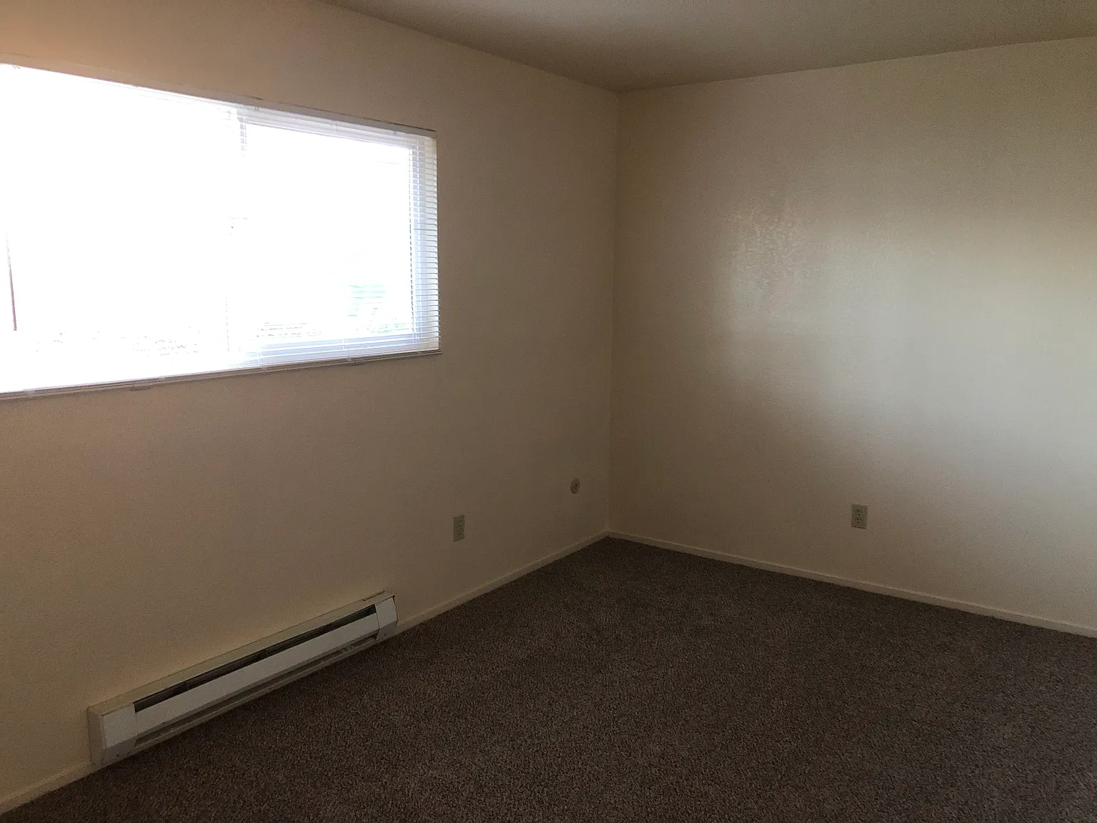 1108 Pacific Blvd — Photo 4