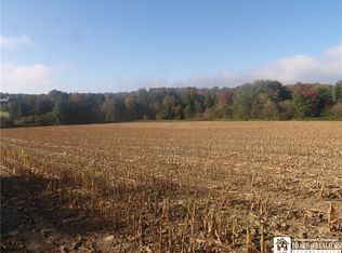 0 Cabbage Hill Rd, Clymer, NY 14724