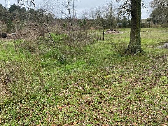 4th image of 303 White Pine Hwy