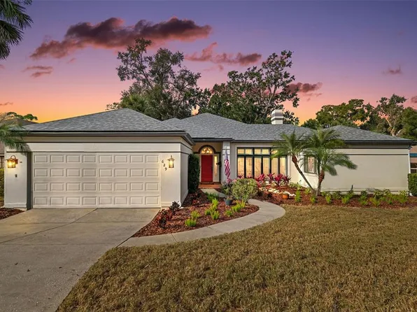 629 Sand Lake Ct, Mount Dora, FL 32757