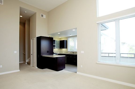 Dining Room w/Open Kitchen 20ft ceilings