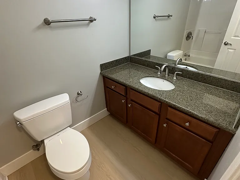 Primary Vanity