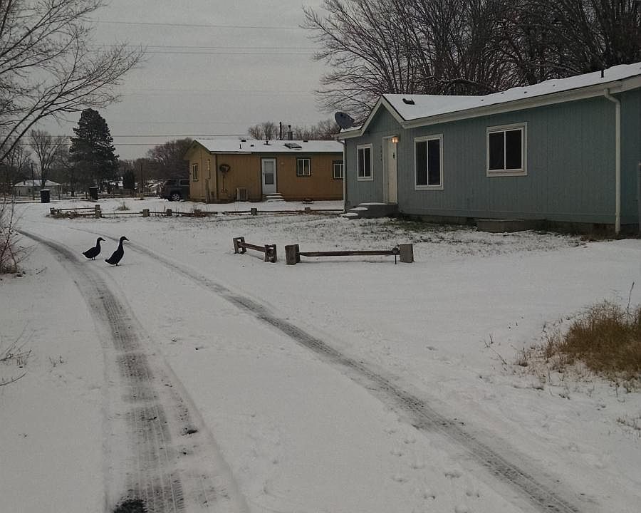 1st image of 903 Babs Ave
