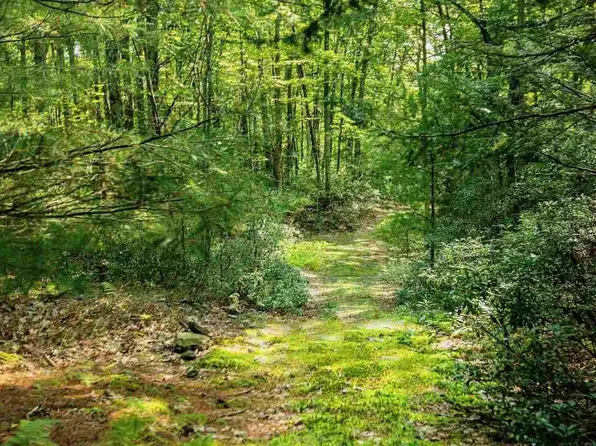 TBD Schroon Hill Road, Kerhonkson, NY 12446