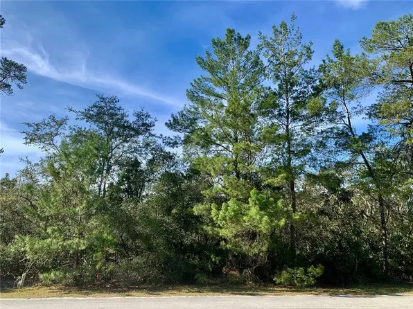 LOT 26 Balsam St Lot 26, Eustis, FL 32736