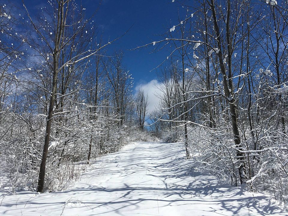 0 Trout Lake Rd A, Hermon, NY 13652 Zillow