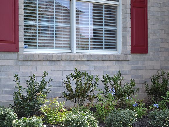 Beautiful Landscaping