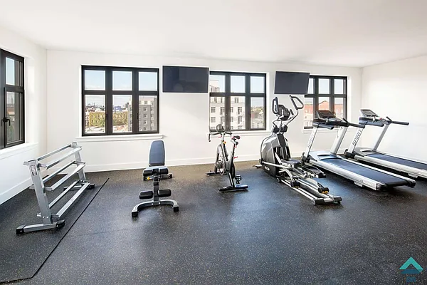 Rented by EXR | media 69