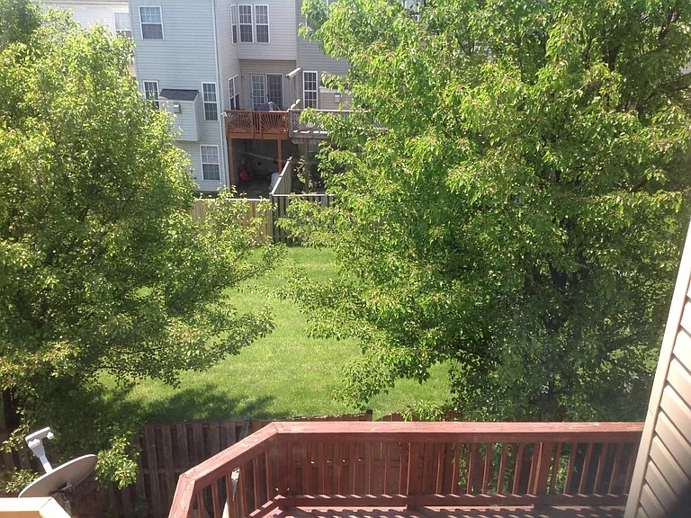 Back of the house