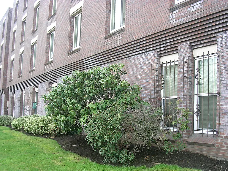Cascadian Terrace — Photo 10