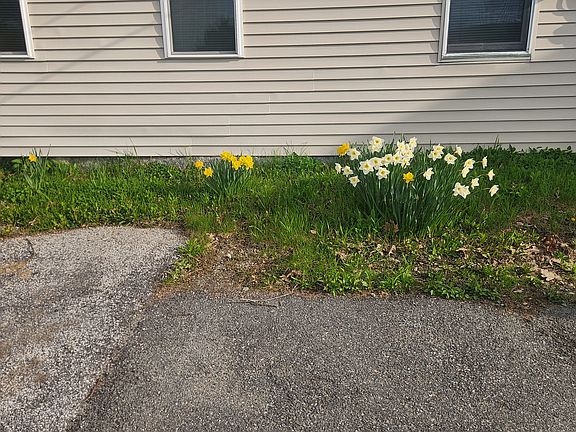 3rd image of 1221 N Main St APT G