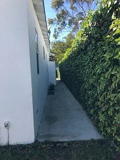 Side
