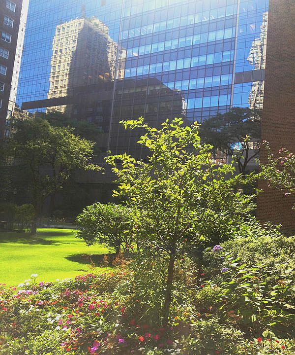 1st image of 345 W 58th St APT 14F