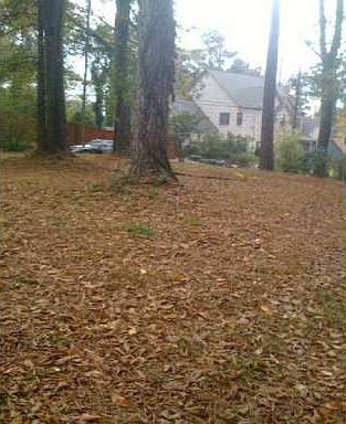 1st image of 1254 Windsor Pkwy NE
