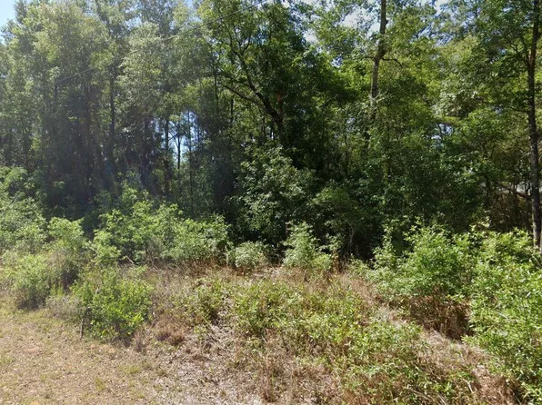 0 SW Starling Dr, Dunnellon, FL 34431