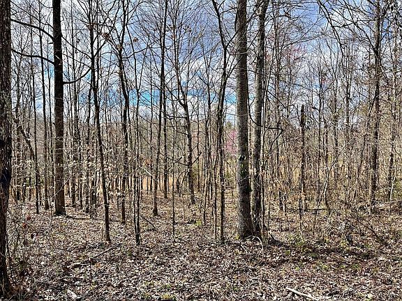 5th image of 3 County Road 186 Lot 3
