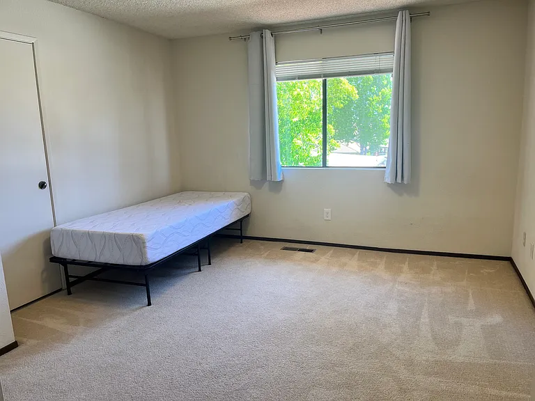 161 Peach Ter — Photo 18