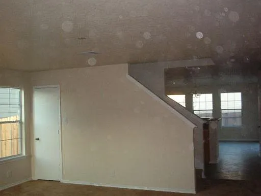 16138 Branching Oaks — Photo 2