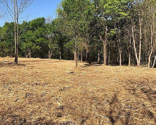 4th image of B0426 Bluffview Ln Lot Ii-52