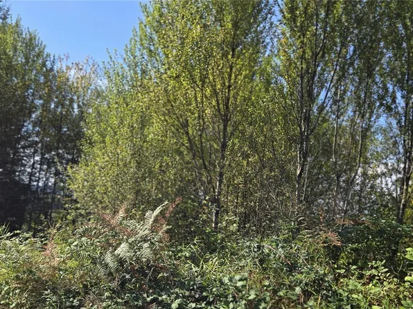 0 Fairview Court, Montesano, WA 98563