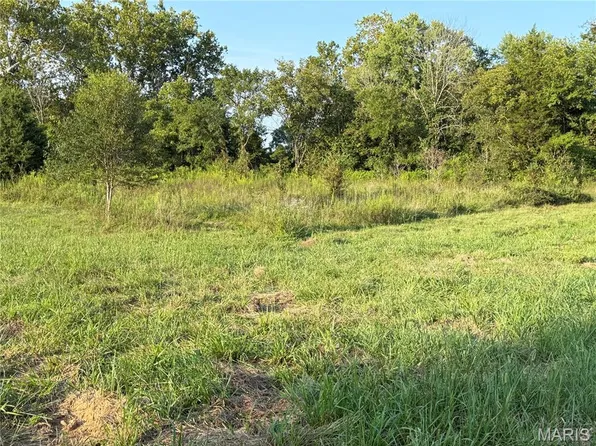 475 County Road 157, Des Arc, MO 63636