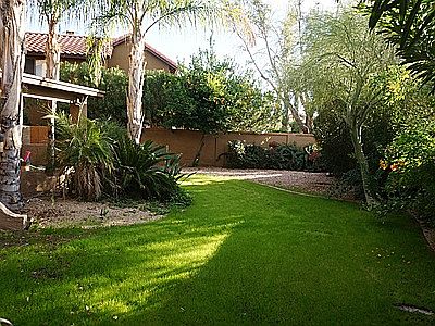 Private, Lush Back Yard