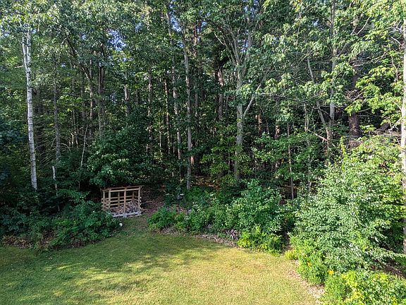 View from the deck in the summer.