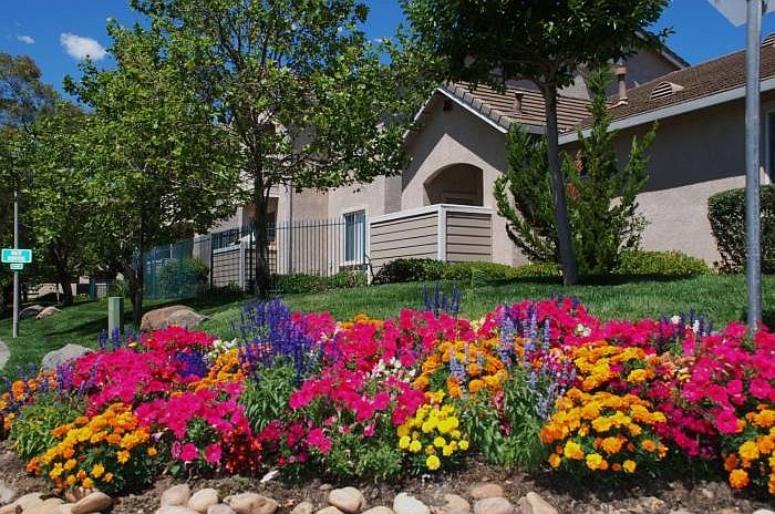 Lush Landscaping