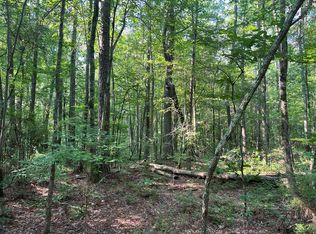 0 Mac Garner Rd, Temple, GA 30179