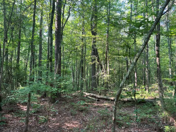 0 Mac Garner Rd, Temple, GA 30179