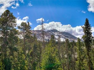 47 Juniata Cir, Breckenridge, CO 80424