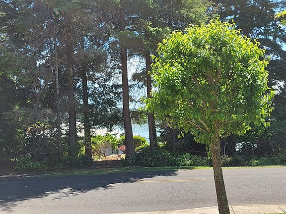 3rd image of 3305 NE 26th St
