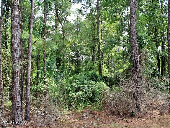 2nd image of 39AC Little Bluff Dr Lot 20