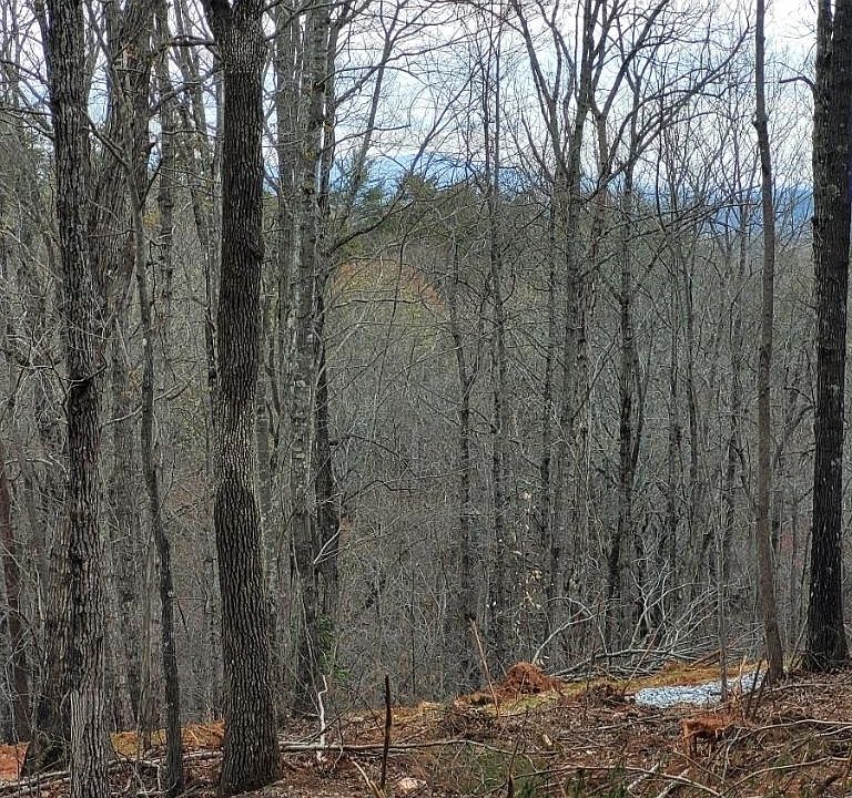 9 Auraria Rd, Dawsonville, GA 30534 MLS 20112224 Zillow