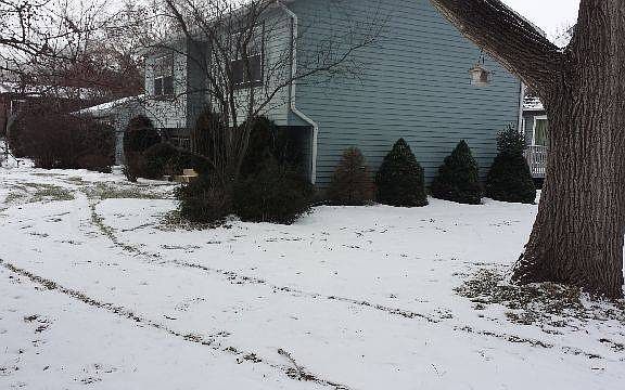 2nd image of 37886 N New York Ave