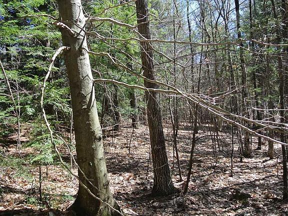 2nd image of 0 Bradbury Road