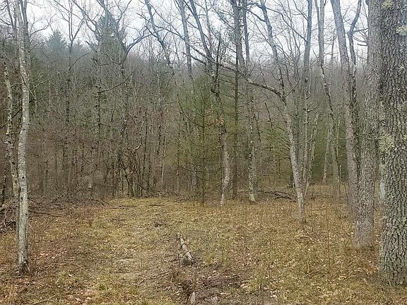 3rd image of 9577 N Woodbridge Dr