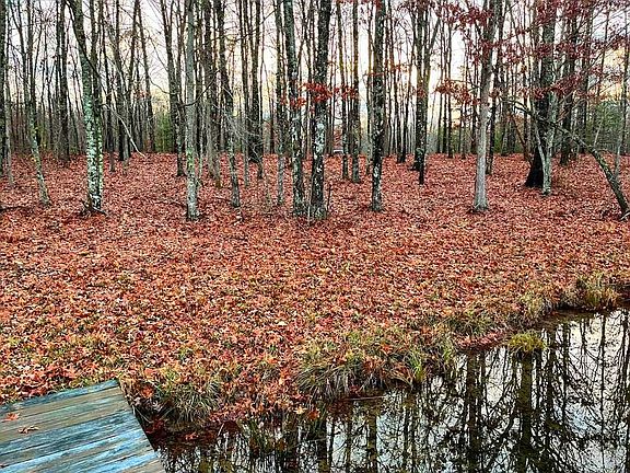 2nd image of 132 Camp Creek Cir Lot 132