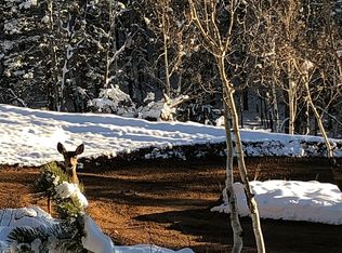 717 Badger Trl, Florissant, CO 80816