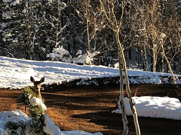 717 Badger Trl, Florissant, CO 80816