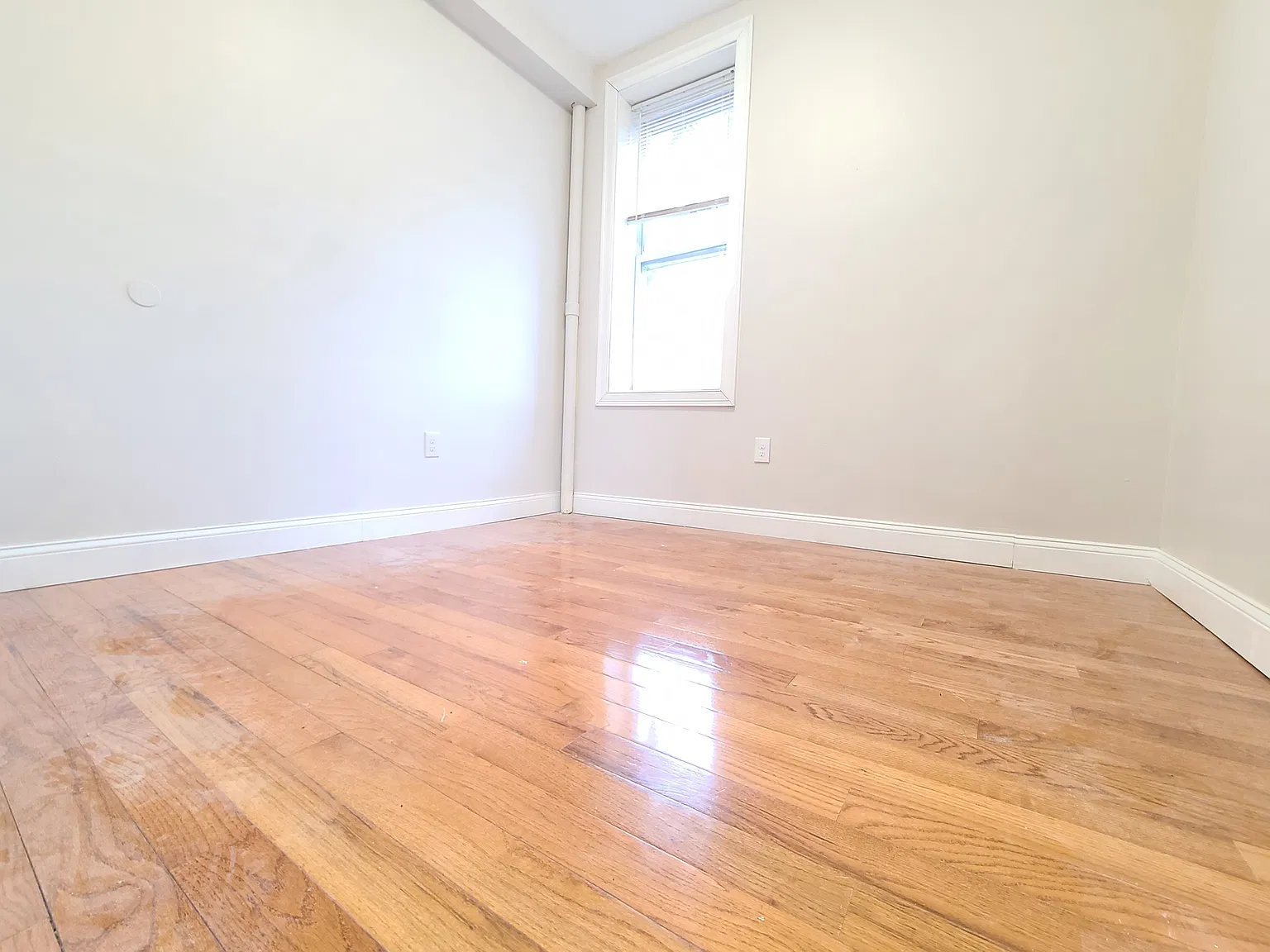 1 bed, 600 sqft, $1,695 — Photo 2