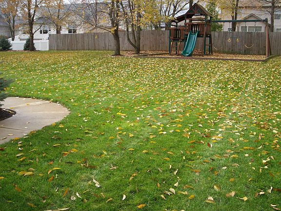 Large Private Backyard