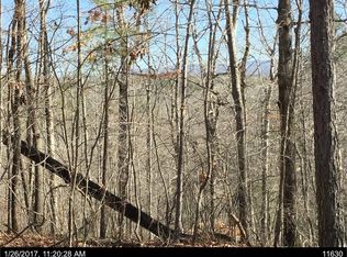 741 Mango Ln, Ellijay, GA 30540