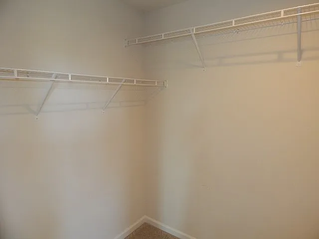 784 Rocky Ridge Cir — Photo 19