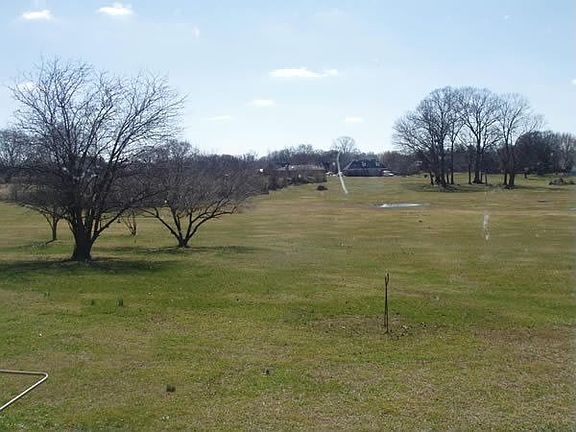 Partial Backyard