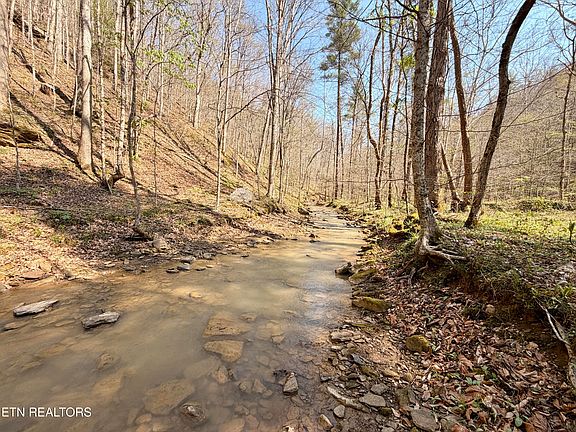 29th image of 5640 Brimstone Rd